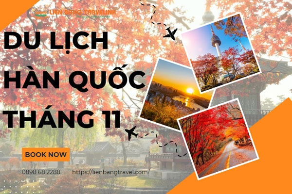 Cẩm Nang Du Lịch Hàn Quốc Tháng 11 Năm 2024