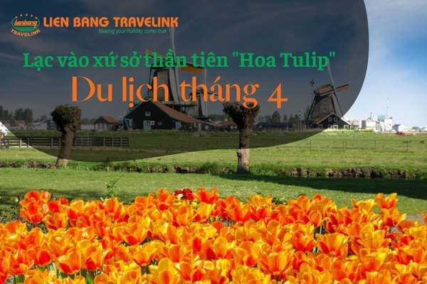 Lạc vào xứ sở thần tiên của