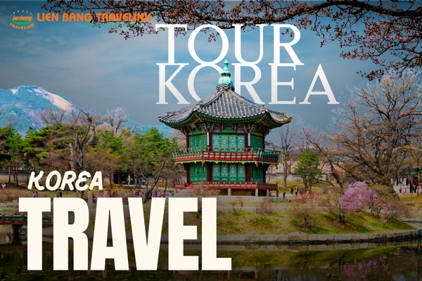 Mùa hè Hàn Quốc rực rỡ: Từ đảo Nami xanh mướt đến làng cổ Eunpyeong và những ngày vui bất tận tại Everland