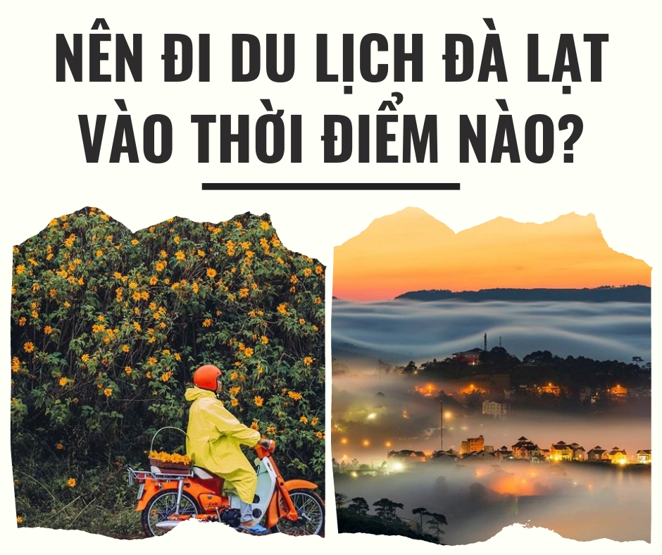 Nên Đi Du Lịch Đà Lạt Vào Thời Điểm Nào?