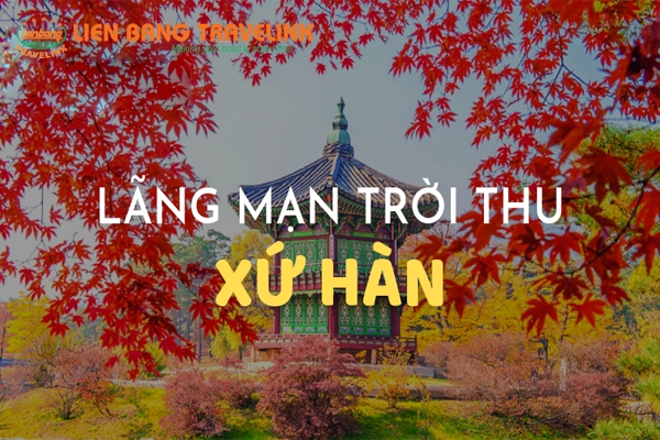 Tận hưởng không khí mùa thu Hàn Quốc