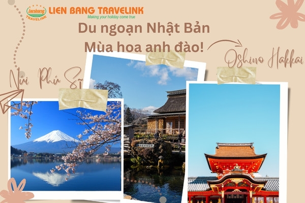 Du ngoạn Nhật Bản - Mùa hoa anh đào : Tokyo – Kamakura – Fuji – Oshino Hakkai (5 ngày 4 đêm)