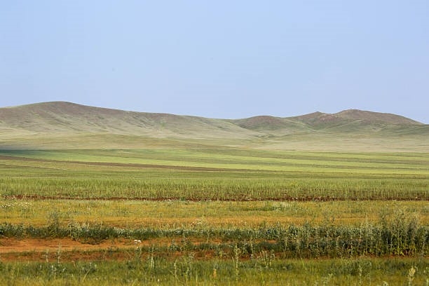 THẢO NGUYÊN MÔNG CỔ: ULAANBAATAR - ELSEN TASARKHAI - ORKHON - KHARKHORIN VƯỜN QUỐC GIA HUSTAI - VƯỜN QUỐC GIA TERELJ