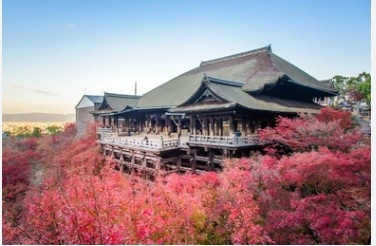 TOUR NHẬT BẢN - CUNG ĐƯỜNG VÀNG: OSAKA - KYOTO - NÚI PHÚ SĨ - TOKYO