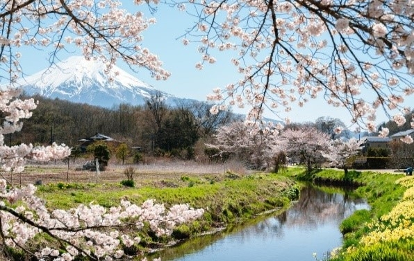 TOUR NHẬT BẢN: OSAKA - KYOTO - NÚI PHÚ SĨ - TOKYO