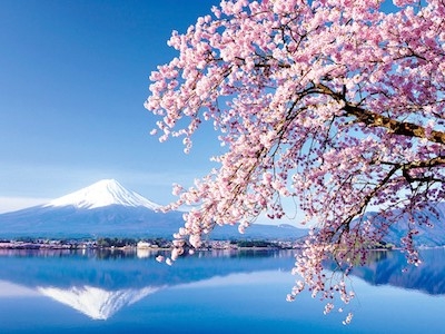 TOUR NHẬT BẢN: OSAKA - KYOTO - NÚI PHÚ SĨ - TOKYO