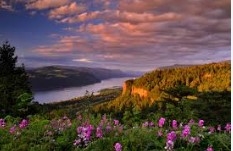 TOUR SEATTLE - ĐI TÀU LỬA NGẮM CẢNH THÁI BÌNH DƯƠNG
