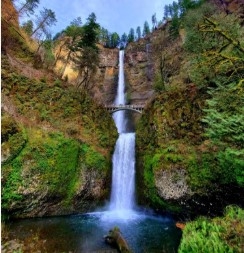 TOUR SEATTLE - ĐI TÀU LỬA NGẮM CẢNH THÁI BÌNH DƯƠNG