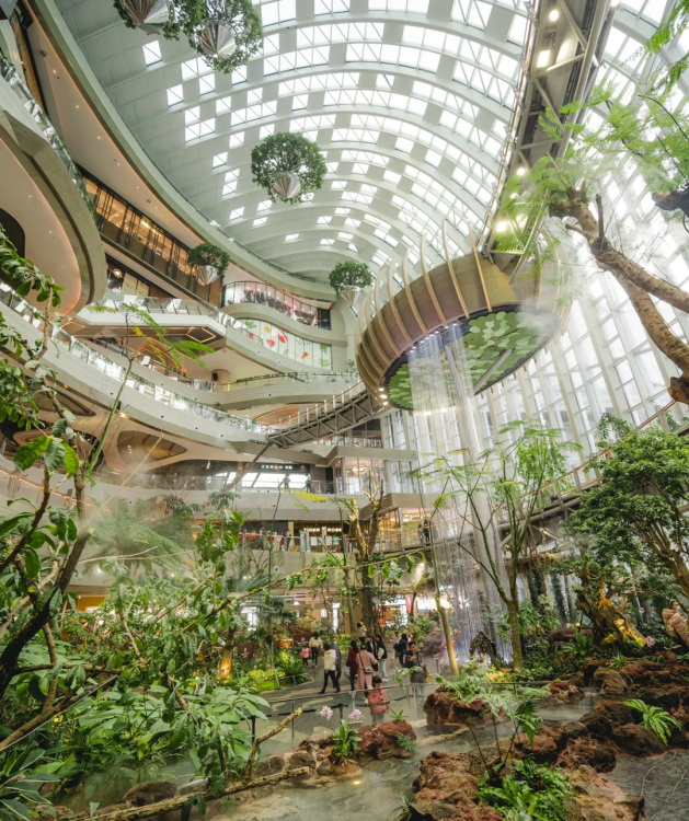 TOUR TRUNG QUỐC: TRUNG HOA DU KÝ - TRÙNG KHÁNH